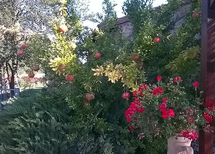 Il Melograno 公寓 *